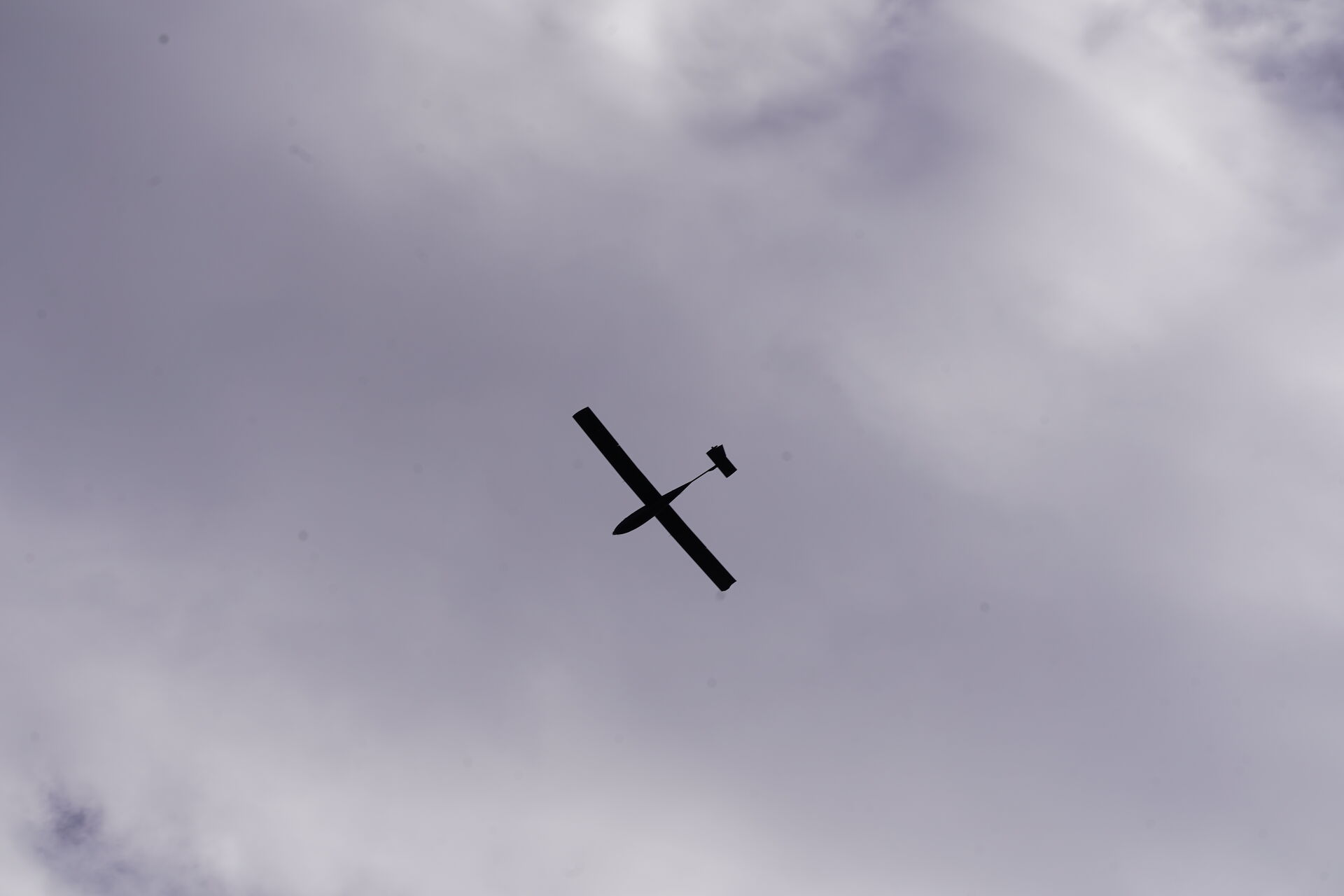 NOCTUA team collaborating in the field